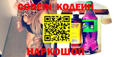 хмурый Кингисепп