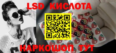 хмурый Кингисепп