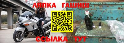 хмурый Кингисепп