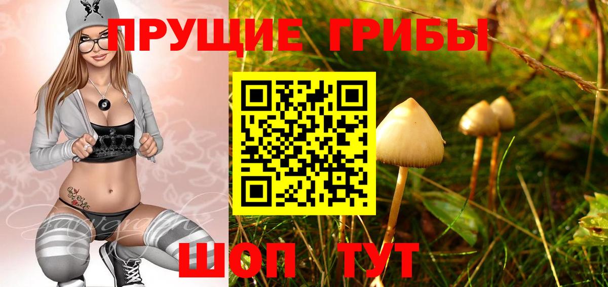 закладка  Вход с VPN  Когалым  Псилоцибиновые грибы прущие грибы 